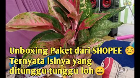 Unboxing Paket Dari Shopee Apa Ya Isinya Youtube