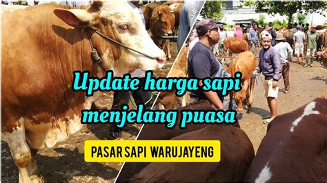 Pasar Sapi Pahing Warujayeng Ll Update Harga Sapi YouTube