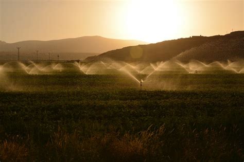 Agricultura Irrigada O Que E Qual Sua Import Ncia Sygma