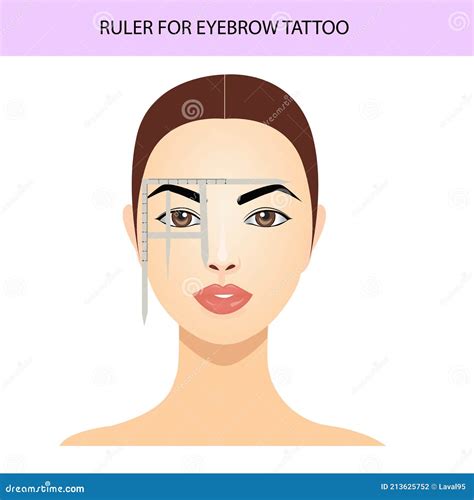 Eyebrow Tattoo Ruler Attached To Face Eyebrow Guide Vector