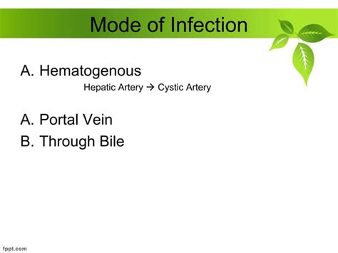 Acute And Chronic Cholecystitis Ppt