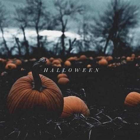 Halloween Pumpkin Patch Pictures, Photos, and Images for Facebook, Tumblr, Pinterest, and Twitter