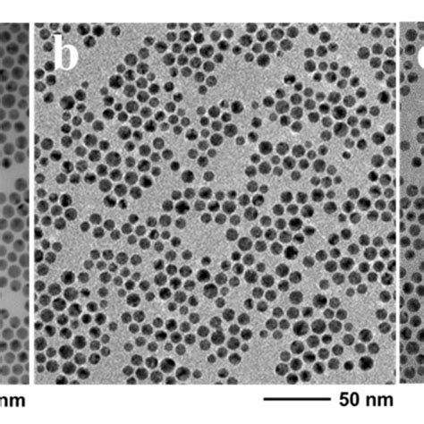 TEM Images Of Au NPs Obtained Using A N Hexane B Tetralin And C