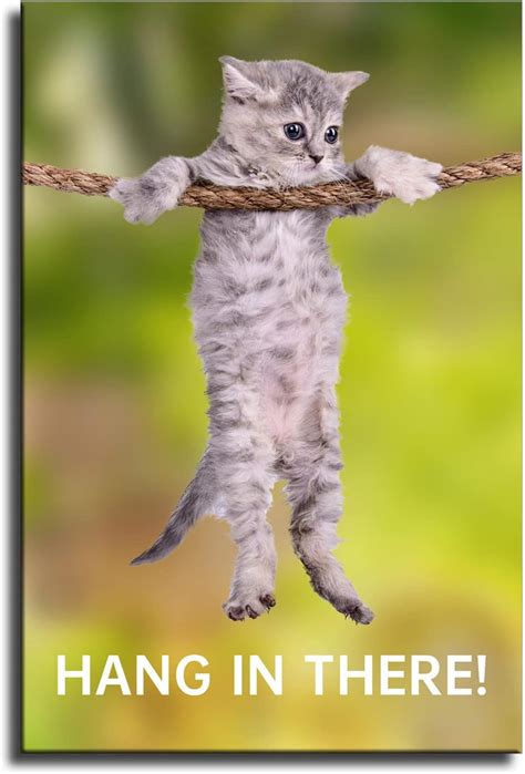 Hang In There Cat Poster Great Inspirational And