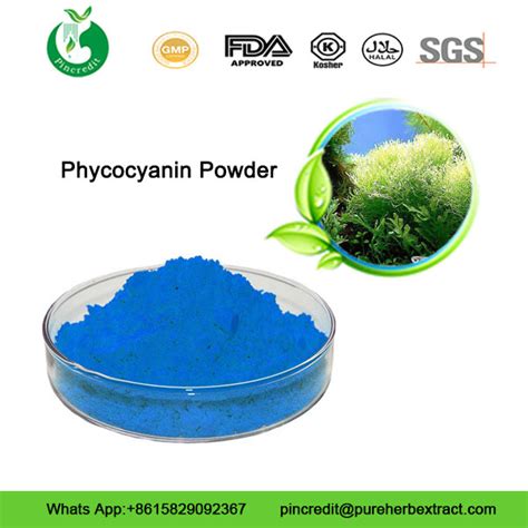 Spirulina Extract Phycocyanin Powder Wholesale China Extracts Supplier