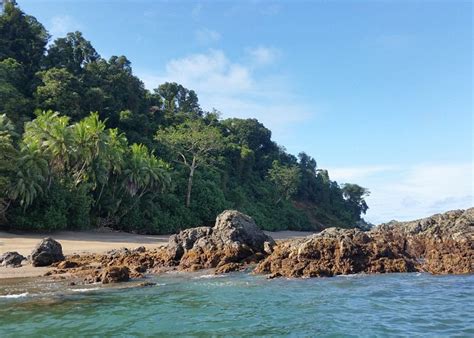 Viajes A Drake Bay Turismo En Drake Bay Costa Rica 2023 Tripadvisor