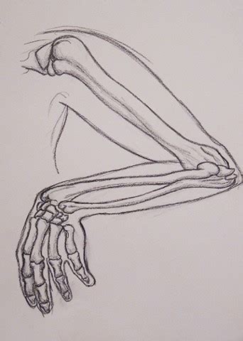 Skeleton Arm Sketch at PaintingValley.com | Explore collection of ...