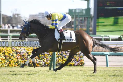 【3歳新馬・中山5r】ロジャーバローズ産駒のサクセスカラーがデビューv ｜競馬ニュース｜競馬予想のウマニティ