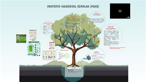 Proyecto Ambiental Escolar Prae By Andrea Restrepo On Prezi Next