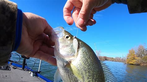 Snowflake Stinger Crappie Catcher Youtube