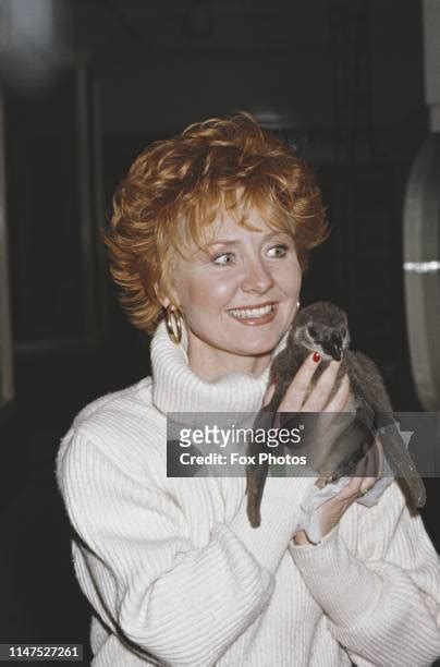 Lulu Bird Photos And Premium High Res Pictures Getty Images