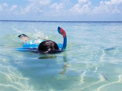 Fantastic Snorkeling Spots In Big Pine Key And Florida S Lower Keys