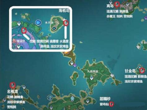 原神钓鱼地点分布图位置大全2022最新 游戏宝手游网