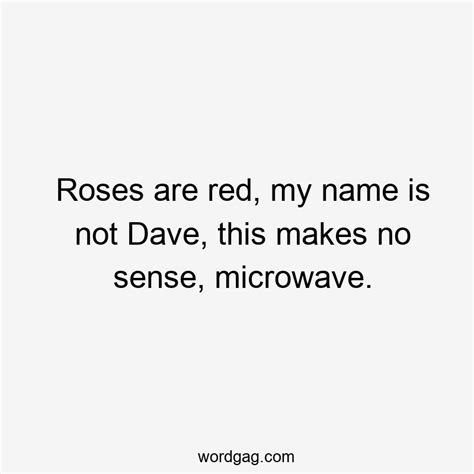 Roses Are Red My Name Is Not Dave This Makes No Sense Microwave