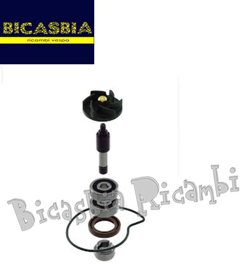 Revisione Pompa Acqua Piaggio Vespa Gts Ie Vespa Gts