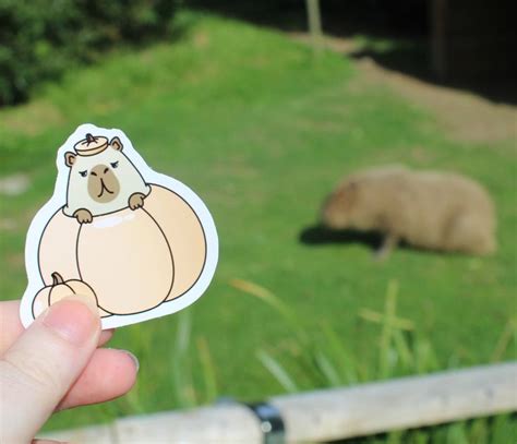 Charlie The Grumpy Capybara Glossy Sticker Pack Waterproof Capybara