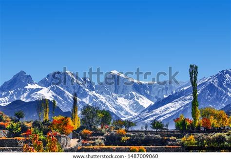 Hunza Valley Spring Photos and Images | Shutterstock