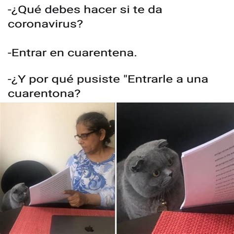 ¿qué Debes Hacer Si Te Da Coronavirus Entrar En Cuarentena ¿y Por Qué