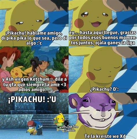 Memes pokemon parte 4 Pokémon En Español Amino