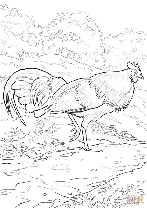 Red Junglefowl Rooster coloring page | Free Printable Coloring Pages