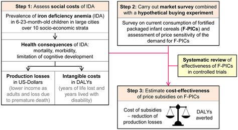 Overview of health economic model. The health economic model assesses ...