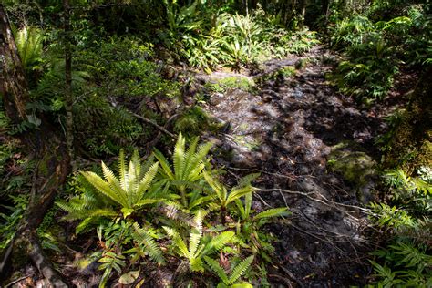 Best of Milford Sound Hiking the World