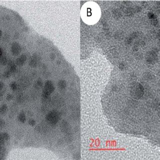 FE SEM Photographs Of SiO 2 NPs A Mesoporous Alg PSSA Co ACA B