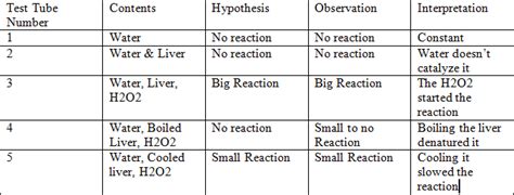 The Liver Enzyme Lab