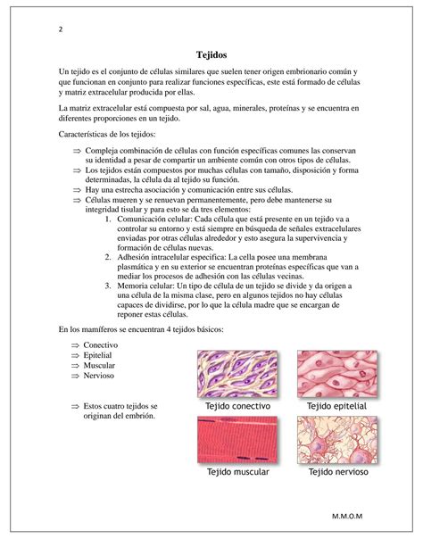 SOLUTION Histología tejido epitelial Studypool