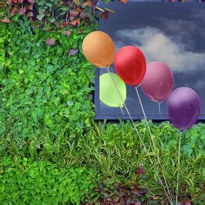 Tweety Bird Hot Air Balloon Photograph By Nikolyn McDonald Fine Art