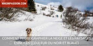 Comment photographier la neige et les paysages enneigés couleur ou