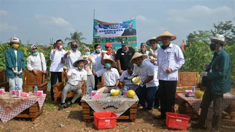 Kebun Agrowisata Unila Implementasi Program Petani Berjaya