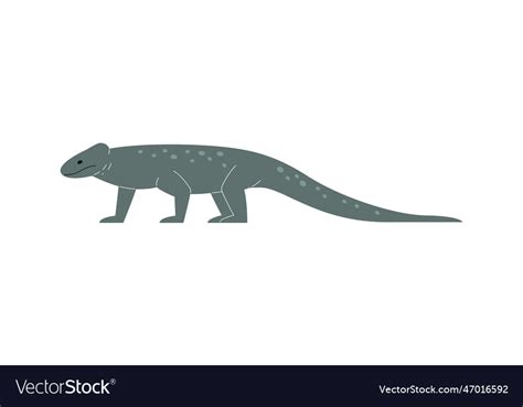 Monitor Lizard Reptile Royalty Free Vector Image