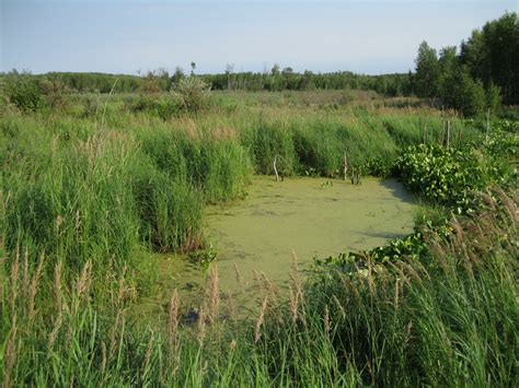 Elk Island National Park Alberta Journeyscope