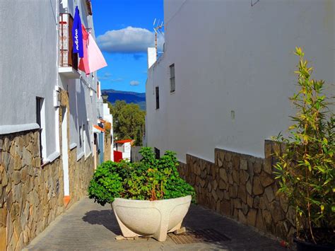 Foto de Alcalá de los Gazules Cádiz España