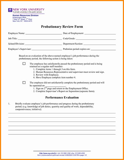 90 Day Probationary Period Template