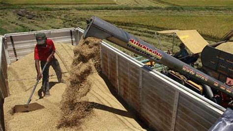 Advierten sobre fragilidad de la oferta mundial de commodities agrícolas