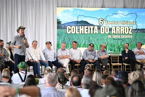 Governador Participa Da Abertura Oficial Da Colheita Do Arroz Em