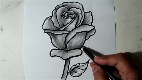 Rose Pencil Sketch Drawing - bestpencildrawing