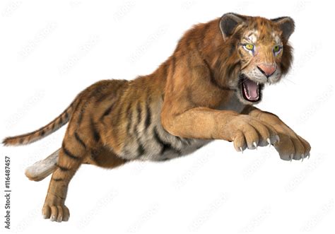 3d CG illustration of a hunting tiger isolated Stock Illustration | Adobe Stock