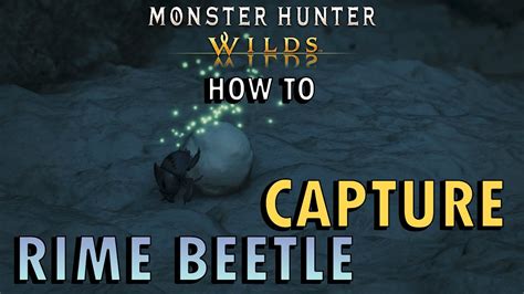 Monster Hunter Wilds How To Catch A Rime Beetle Samins Research