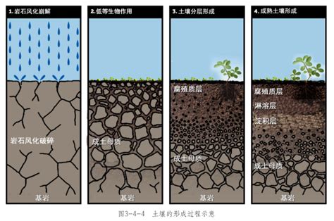 土壤基础知识（土壤类型、质地、结构及矿物质） 精选文章 德德沐农业文库共享网