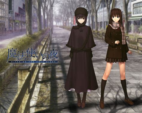 Aozaki Aoko And Kuonji Alice Mahou Tsukai No Yoru Drawn By Koyama