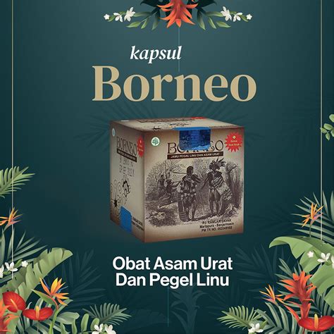 Jual Cod Kapsul Asam Urat Borneo Original Borneo Obat Herbal Obat