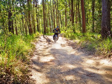 4wd And Trail Bike Road Network Daguilar National Park Parks And