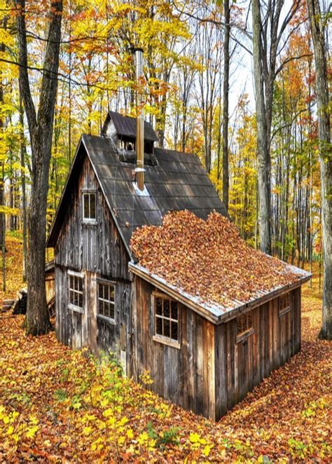 October Sugar Shack Someone Is Making Maple Syrup Cabin Cabins And