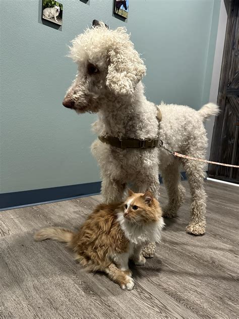 Fall River Veterinary Clinic | Hot Springs SD