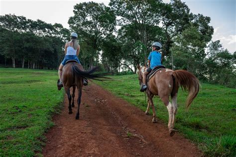 Nosso roteiro de cavalgada foi feito para surpreender Uma experiência