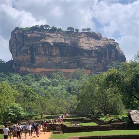 From Bentota Sigiriya Lion Rock Dambulla Cave Temple Tour