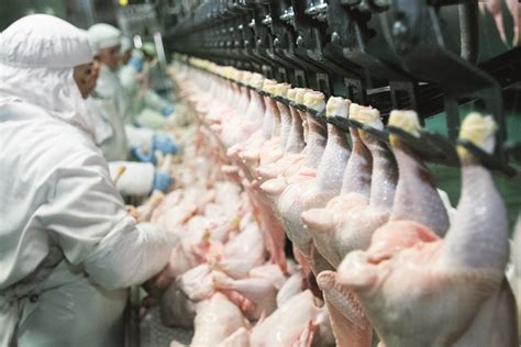 Poultry Industry Warned About Another C02 Shortage As Cf Industries